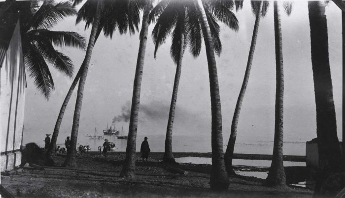 File:COLLECTIE TROPENMUSEUM Palmbomen aan de kust bij Baä op het eiland Roti op de achtergrond enkele schepen op de rede TMnr 60033655.jpg