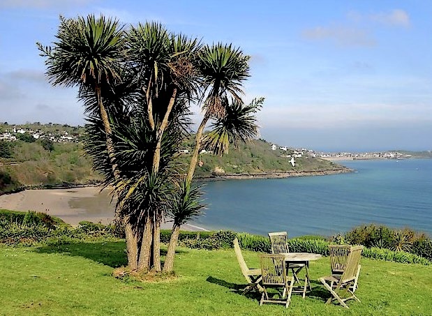 File:Carbis Bay - geograph.org.uk - 24471.jpg