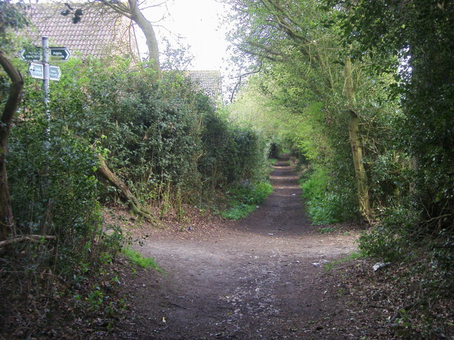 File:Chiltern Way - geograph.org.uk - 2171319.jpg