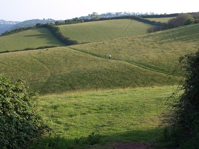 File:Combes above the coast path - geograph.org.uk - 808489.jpg