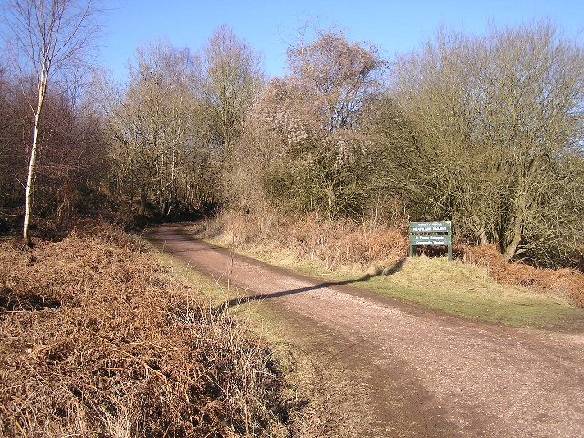 Cycle Track, Forest of Dean. - geograph.org.uk - 119755