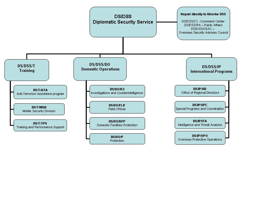 non profit organizational chart template