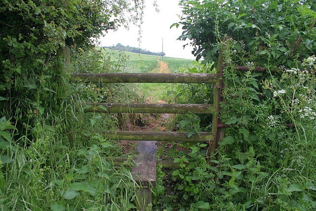 File:Diagonal path to Hillend Court - geograph.org.uk - 824601.jpg