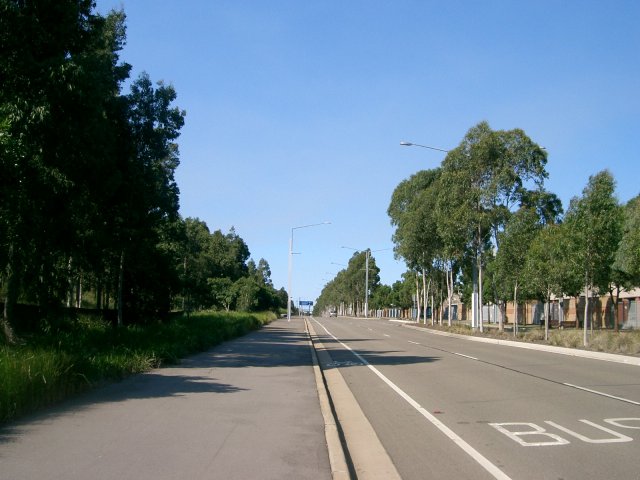 File:Down Kevin Coombs Avenue (493881067).jpg