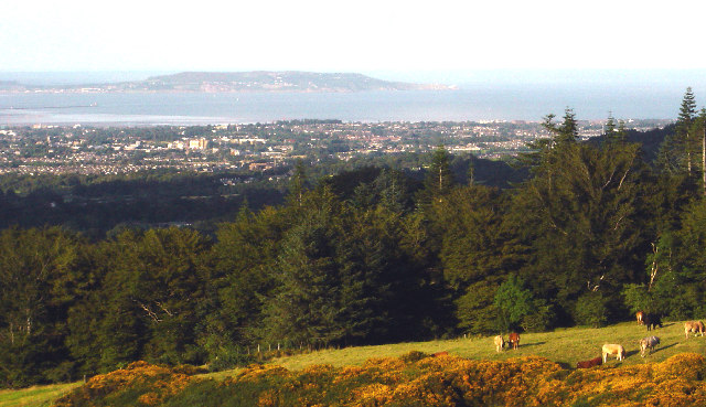 File:Dublin from the Wicklow Hills - geograph.org.uk - 74932.jpg