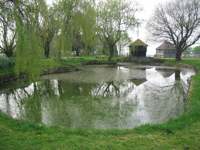 File:Duckpond at South Brewham - geograph.org.uk - 402415.jpg