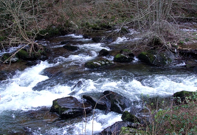 River Devon, Nottinghamshire.