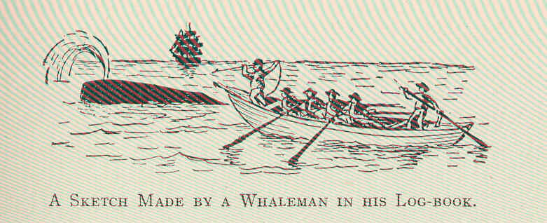 File:FMIB 44686 Sketch Made by a Whaleman in his Log-Book.jpeg