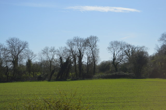 File:Farmland and trees - geograph.org.uk - 4730308.jpg