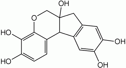 hematoxylin