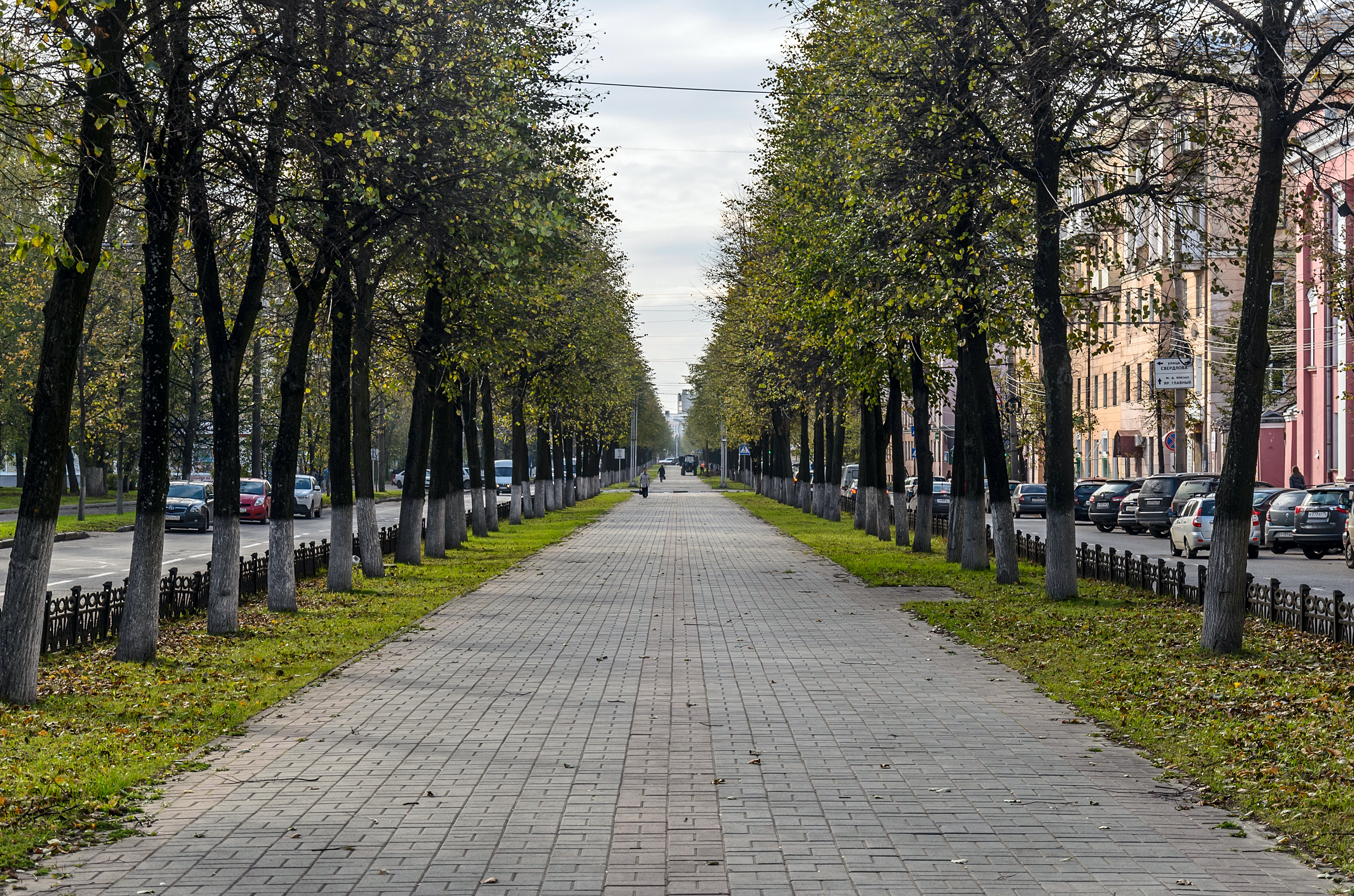 Город ярославль улица