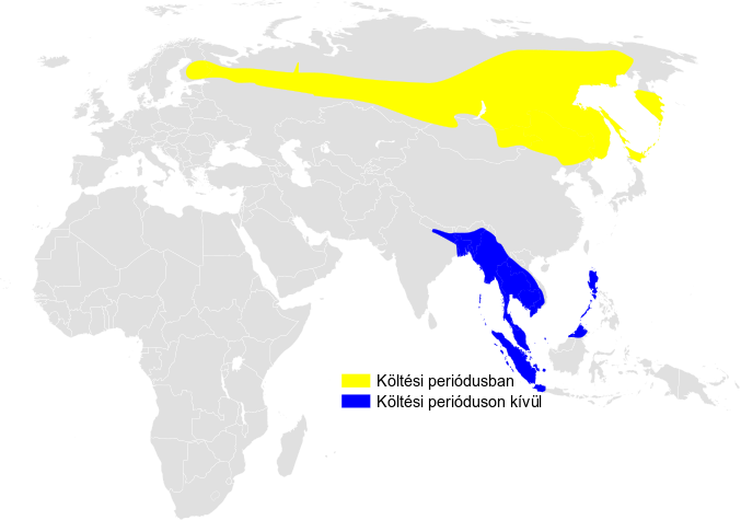 File:Locustella lanceolata distribution map.png