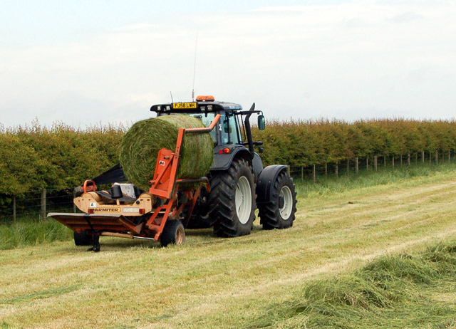 File:Making silage at Lowsteads Farm (8) - geograph.org.uk - 1380916.jpg