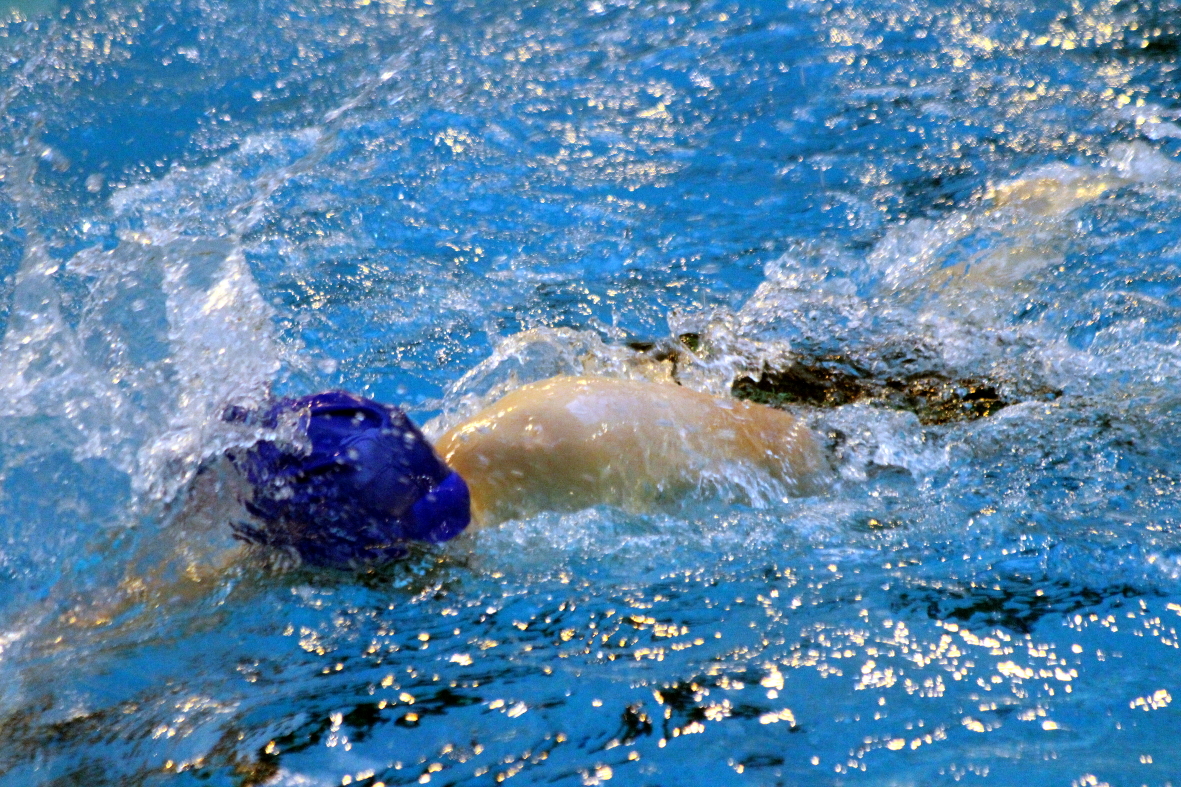 File Natation 11 Ans 18 01 14 023 Jpg Wikimedia Commons