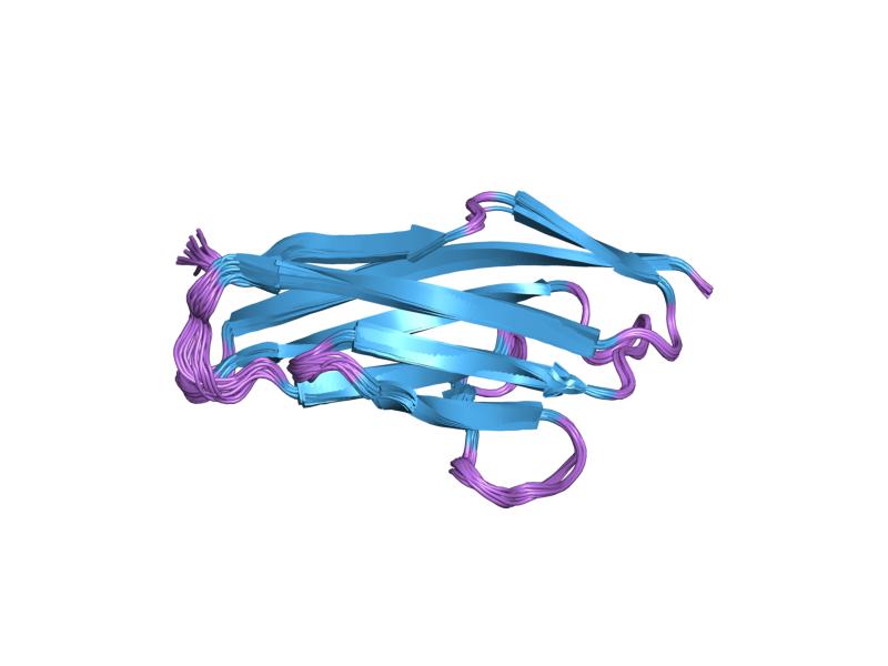 File:PDB 2ncm EBI.jpg