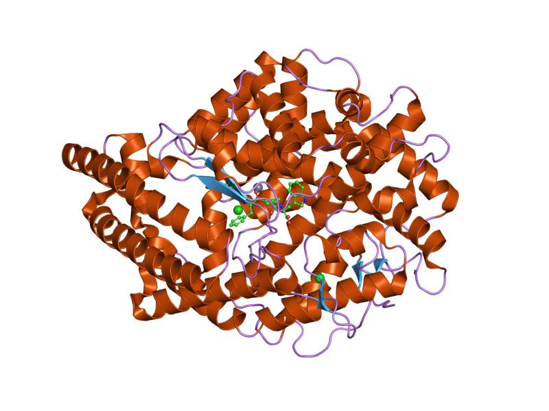 File:PDB 2oc2 EBI.jpg