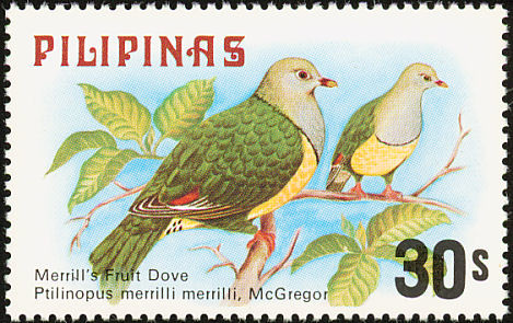 File:Ptilinopus merrilli 1979 stamp of the Philippines.jpg