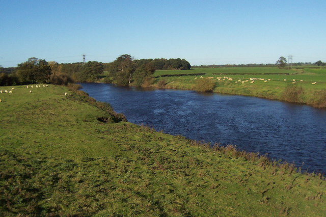 File:River Ure, Roecliffe - geograph.org.uk - 270848.jpg