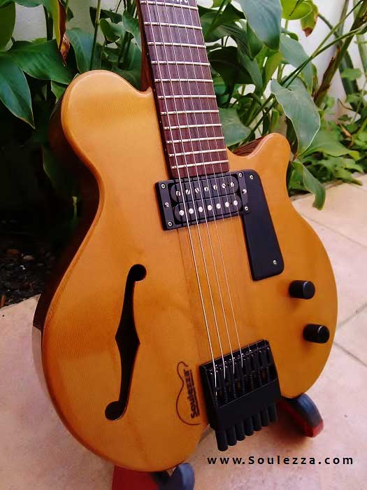 ibanez artwood aw 200