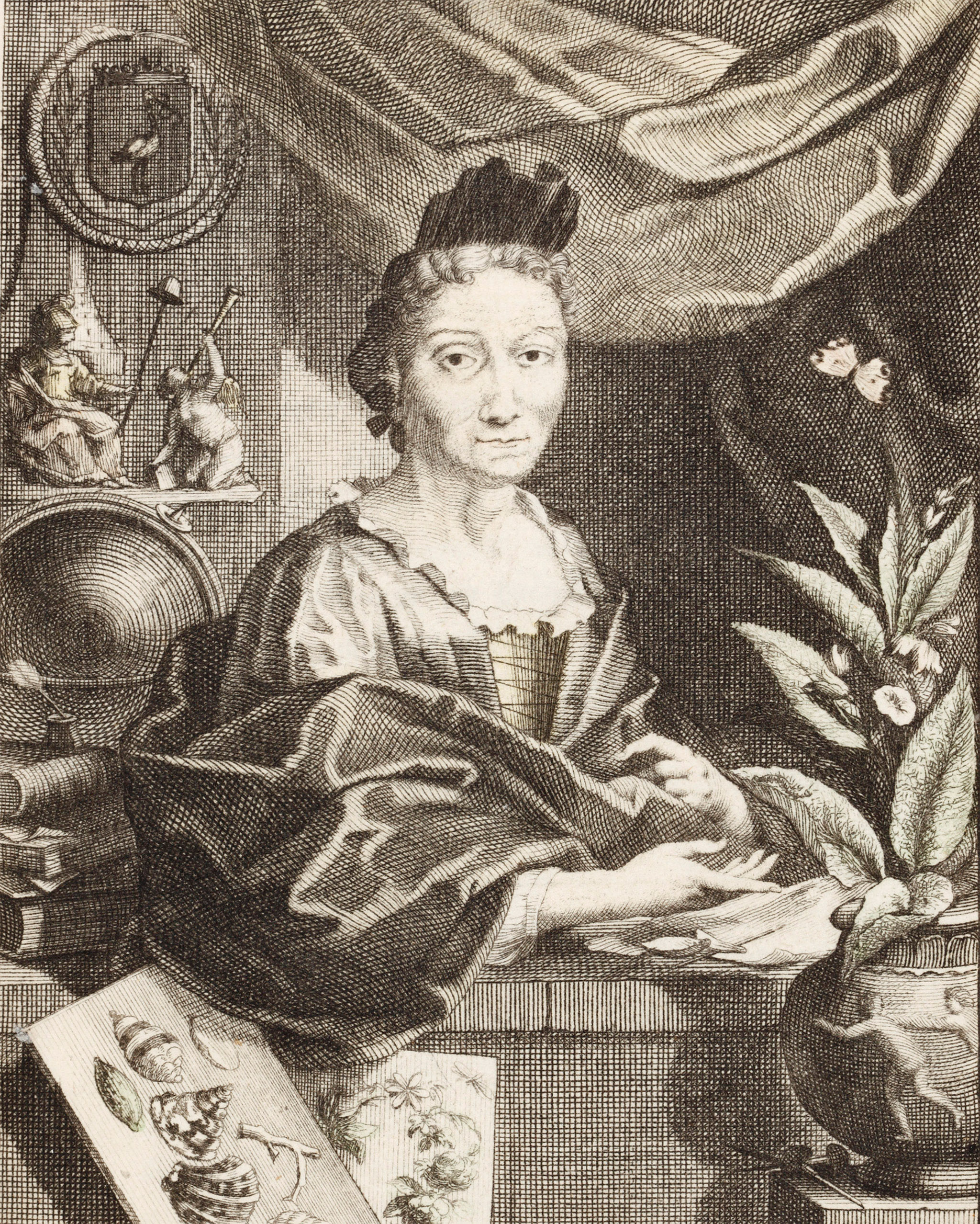 Maria Sibylla Merian: la naturalista che studiava e dipingeva le farfalle •  MuMAB