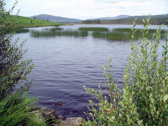 File:Stroan Loch - geograph.org.uk - 518674.jpg