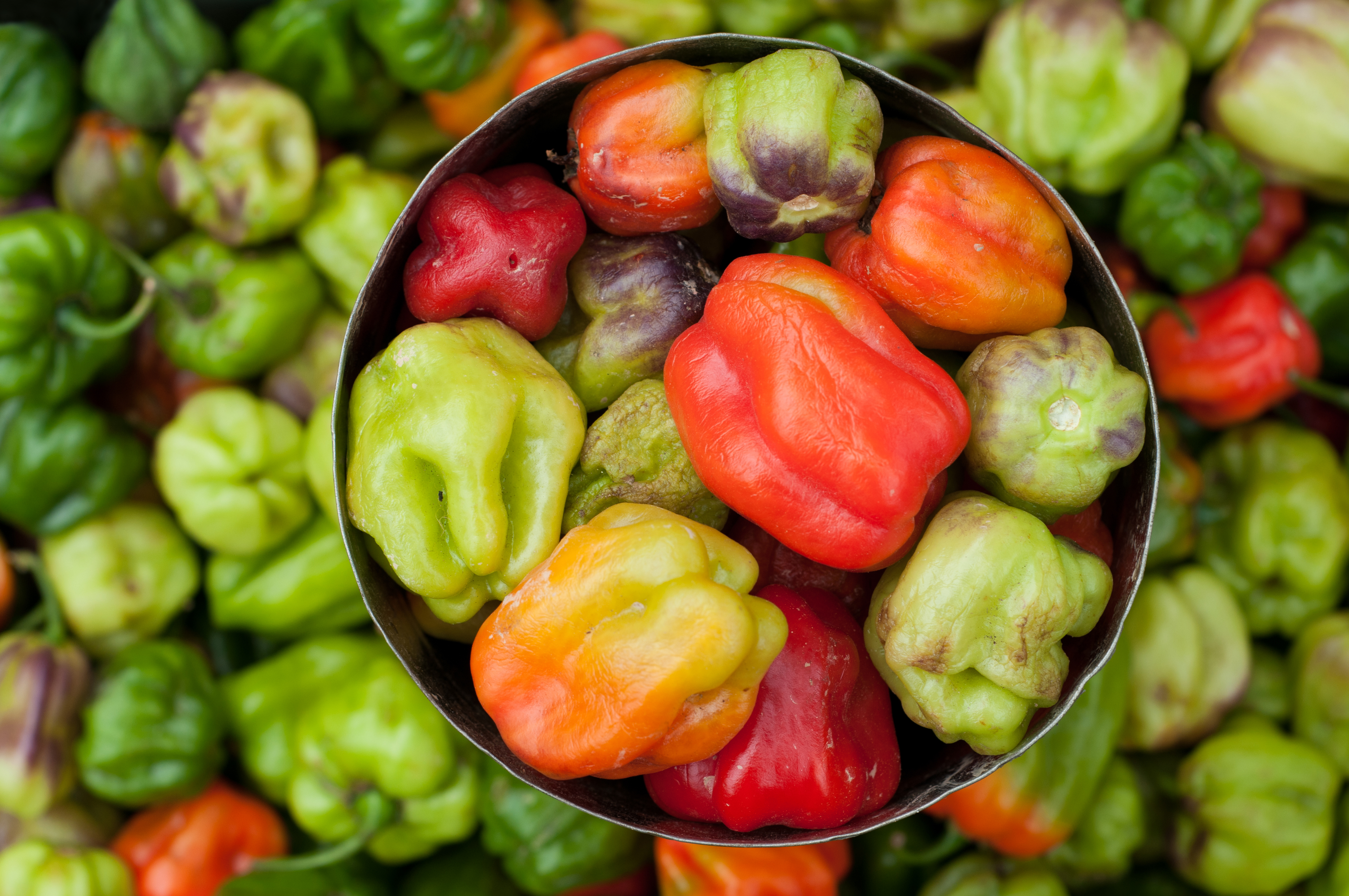 Peppers перламутровые. Перец. Болгарский перец. Овощи перец. Разноцветный перец.