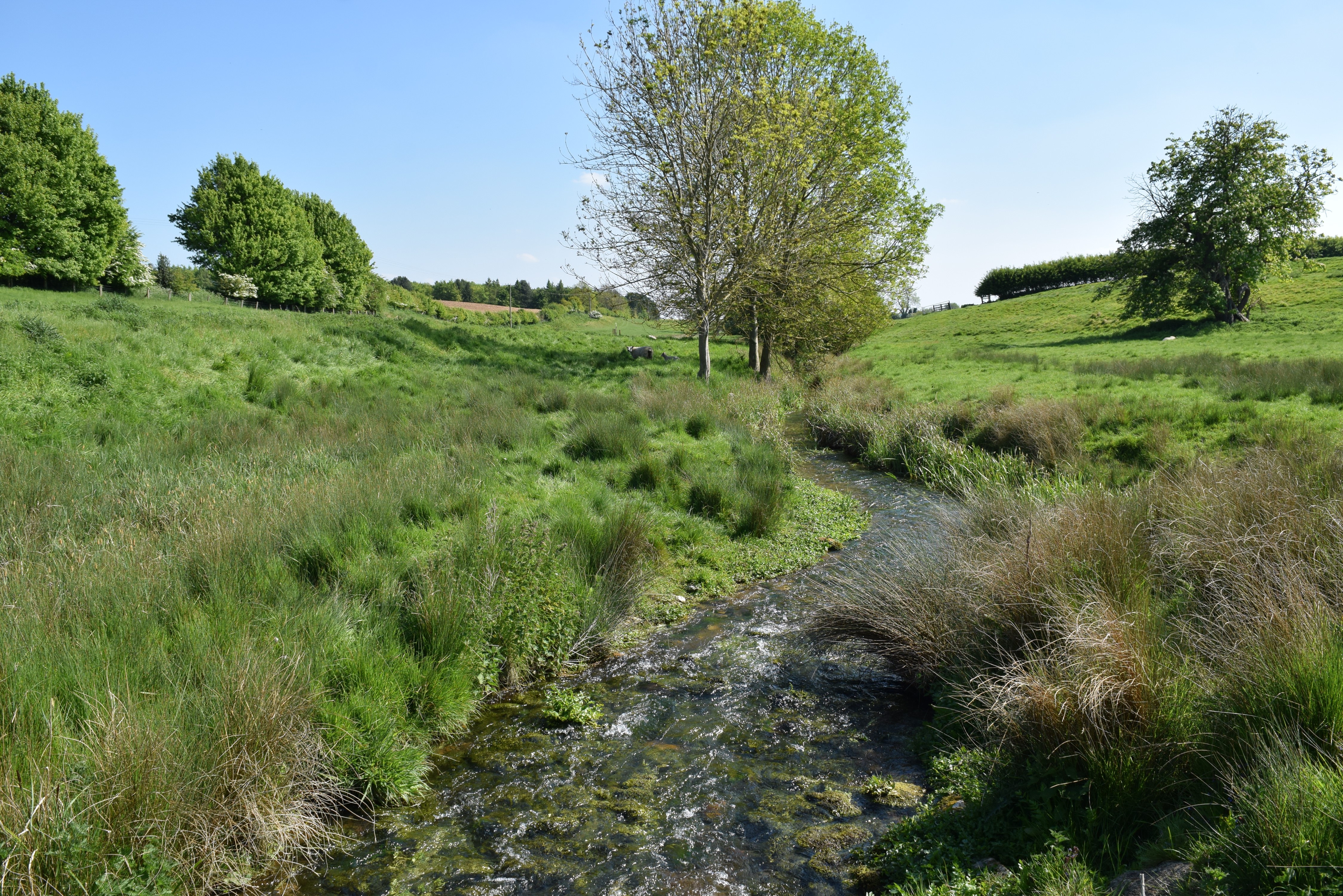 North Brook, Rutland