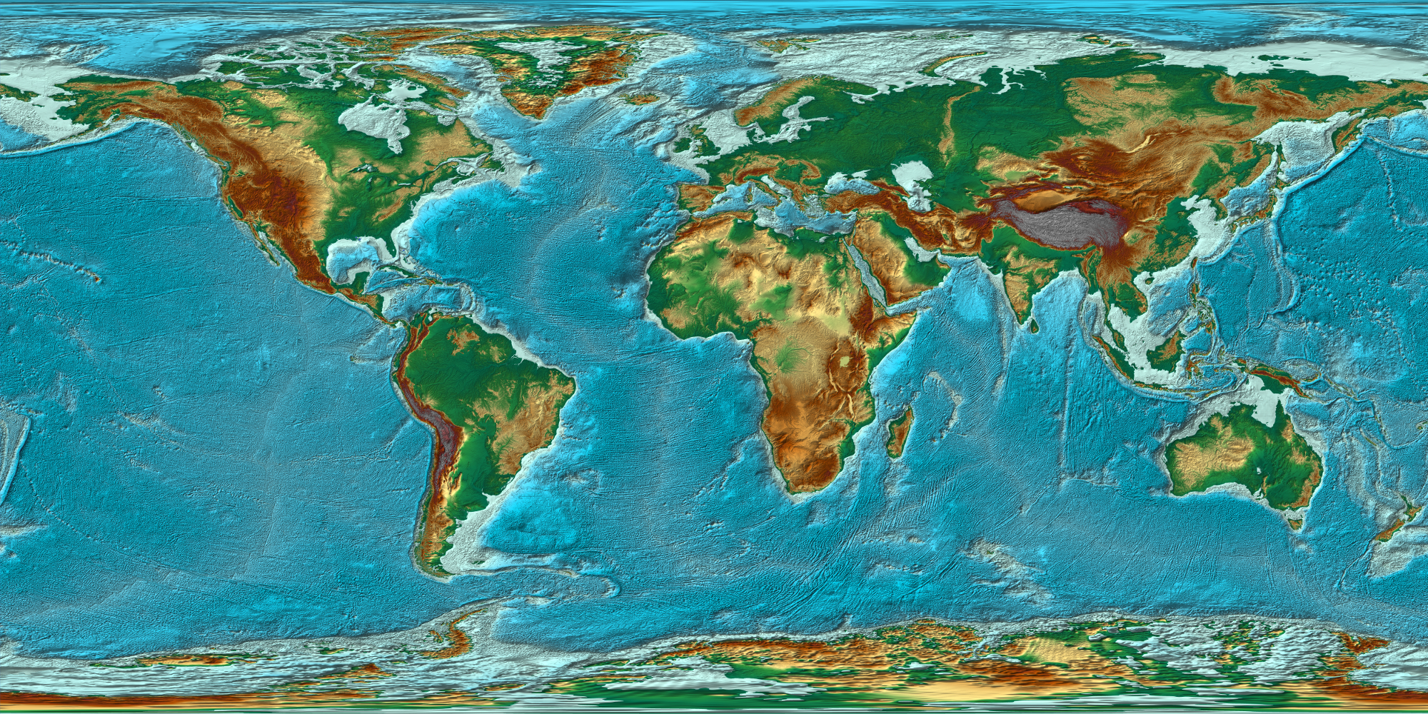 world elevation map