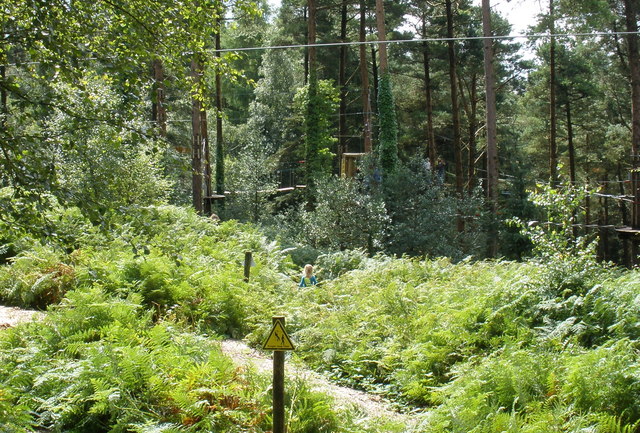 File:'Going Ape' adventure course, Haldon Forest Park - geograph.org.uk - 1429304.jpg