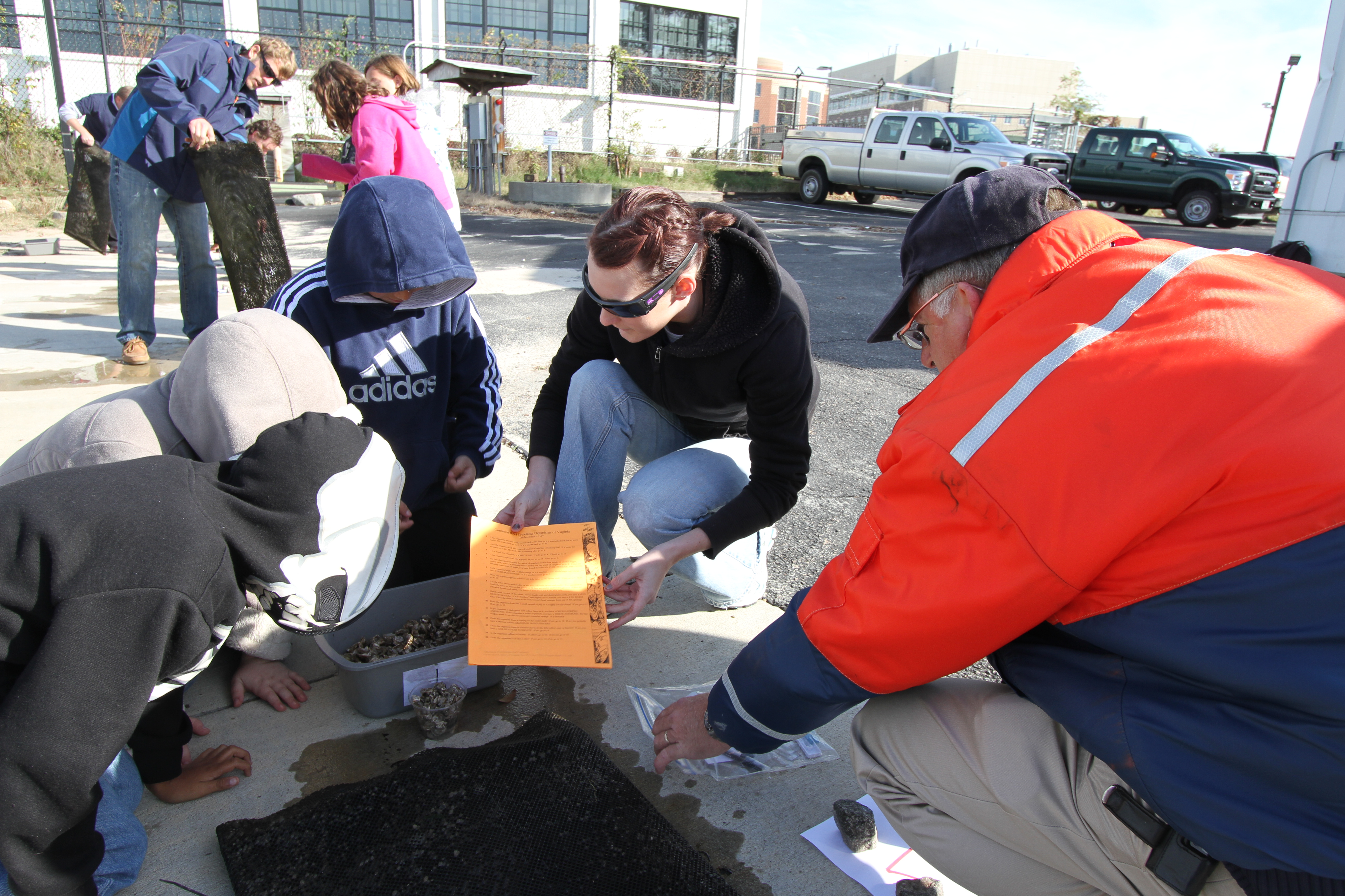 Elementary school students how to capture baby oyster spat data collection. Steve Baum adds support. The current native oyster population in the Chesapeake