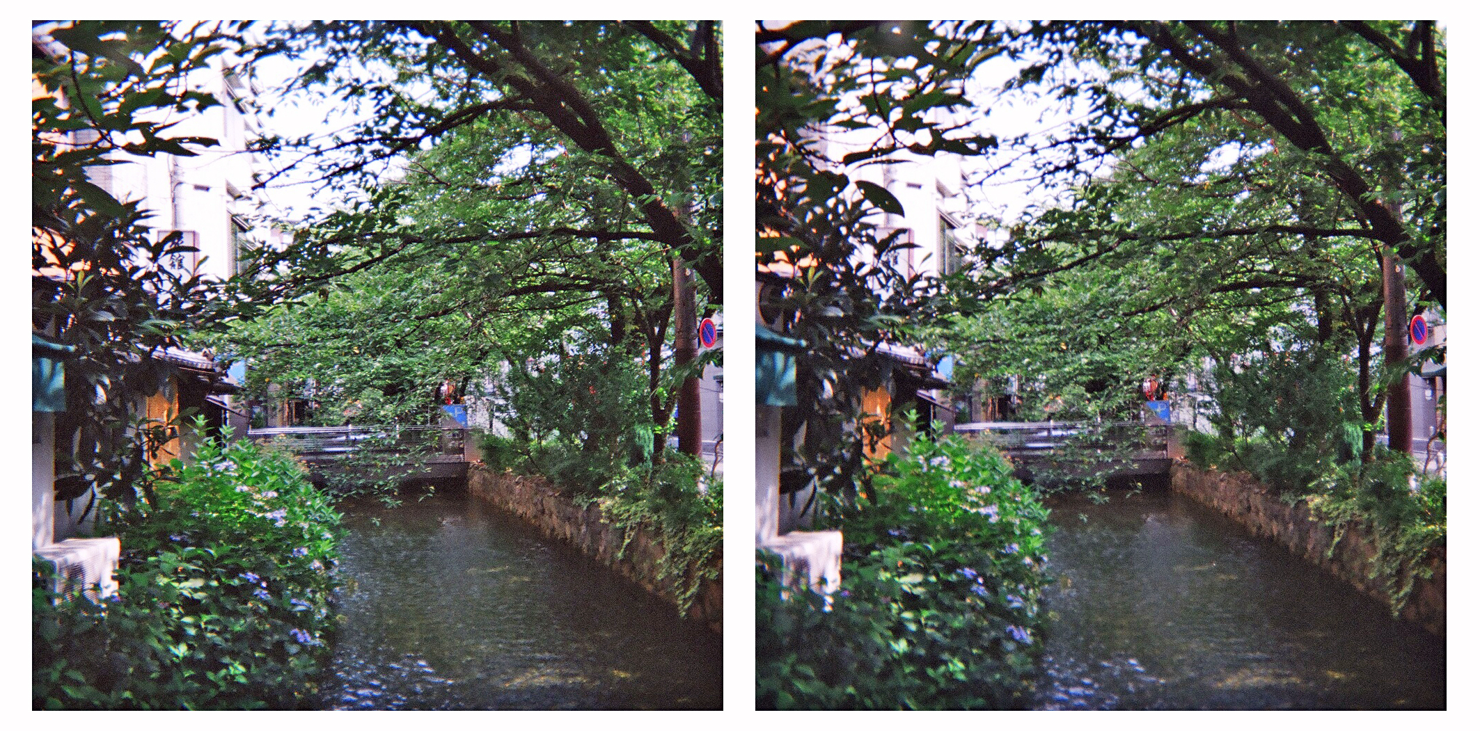 File 3d Photo Cross View Kyoto Takase River 立体写真 交差法 高瀬川 Panoramio Jpg Wikimedia Commons