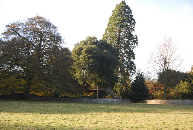 File:A tree house, Fairlawne Park - geograph.org.uk - 1574753.jpg