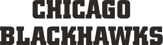 Image result for Chicago Blackhakws logo