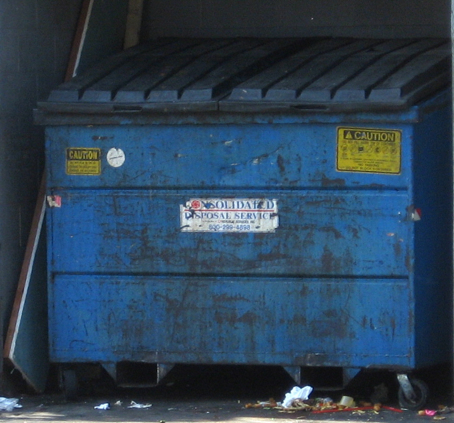 Dumpster fire - Wikipedia
