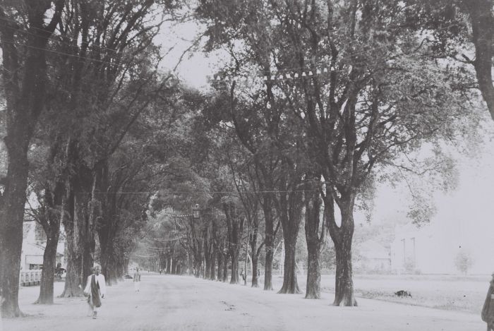 File:COLLECTIE TROPENMUSEUM Het door bomen omgeven Hooge Pad naast het Kerkplein met de Protestantse kerk Makassar TMnr 60042540.jpg