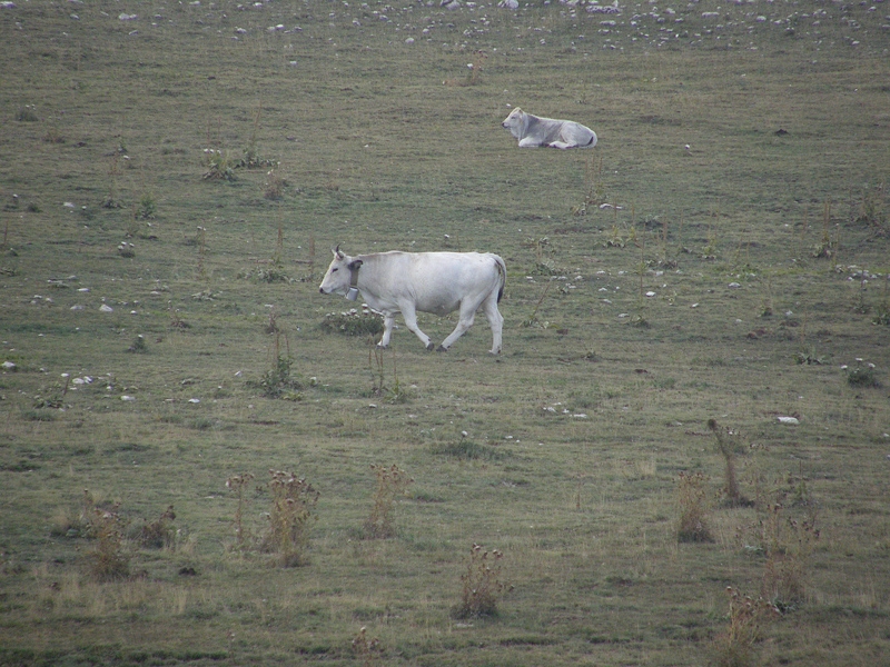 File:Campo Imperatore 020 (RaBoe).jpg