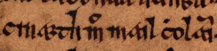 File:Cináed mac Maíl Choluim (Oxford Bodleian Library MS Rawlinson B 488, folio 15r).jpg