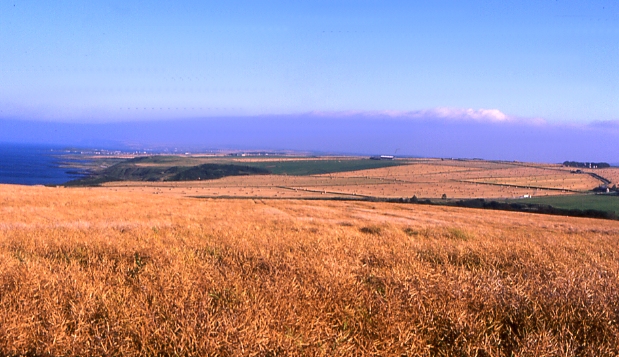 File:Cowhythe, Portsoy - geograph.org.uk - 3685.jpg