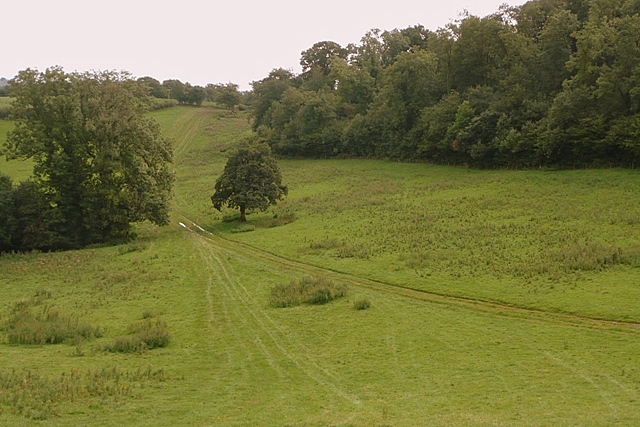 East of Coed-duon - geograph.org.uk - 930085