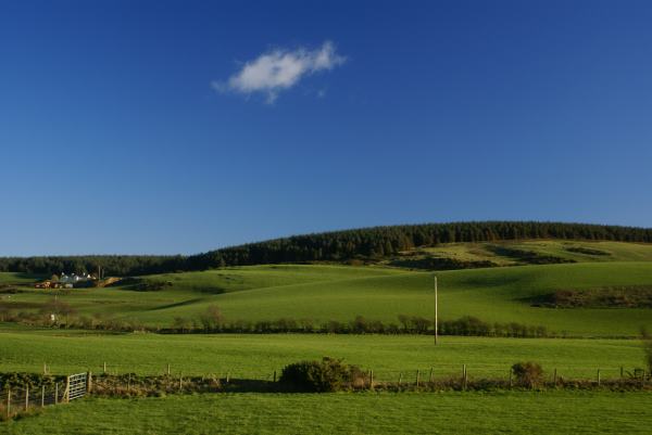 File:Glaik Farm and Core Hill of Glaik - geograph.org.uk - 318351.jpg