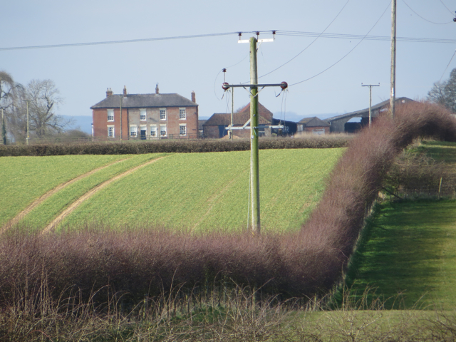 File:Hedgerow near Rise (geograph 4869395).jpg