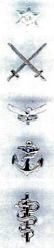 Bar button and insignia for the Army, Air Force, Navy and Military Health Service Iphrothiya ye Siliva (PS) insignia.jpg