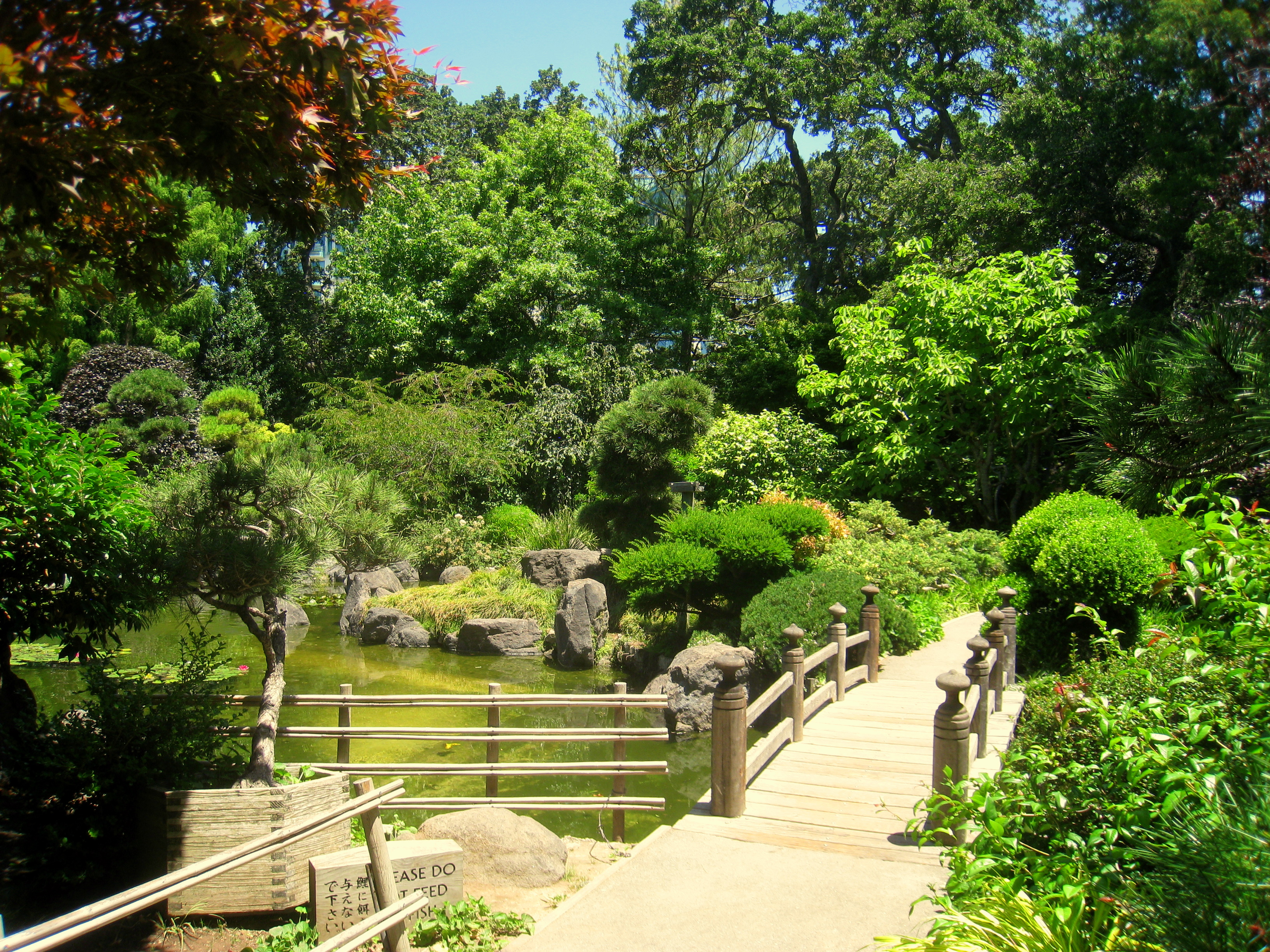 File Japanese Tea Garden San Mateo Ca Img 9119 Jpg Wikimedia