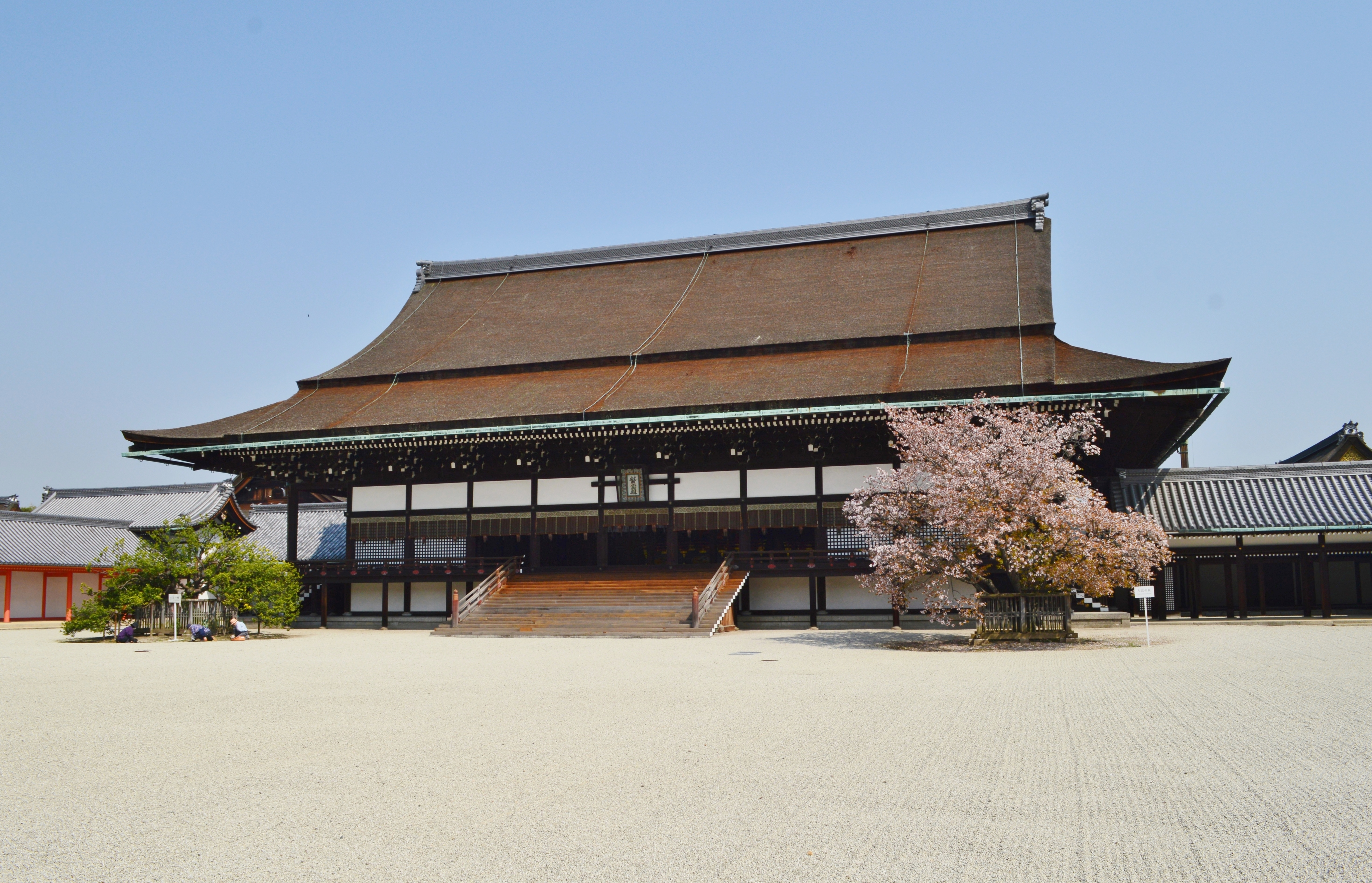 京都紫宸殿、左近の桜と右近の橘