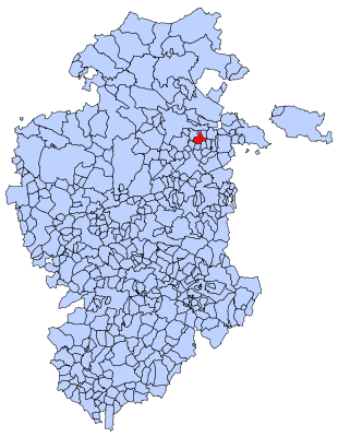 <span class="mw-page-title-main">Busto de Bureba</span> Municipality and town in Castile and León, Spain