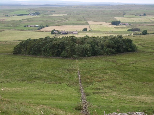 File:Melkridge Common - geograph.org.uk - 57941.jpg