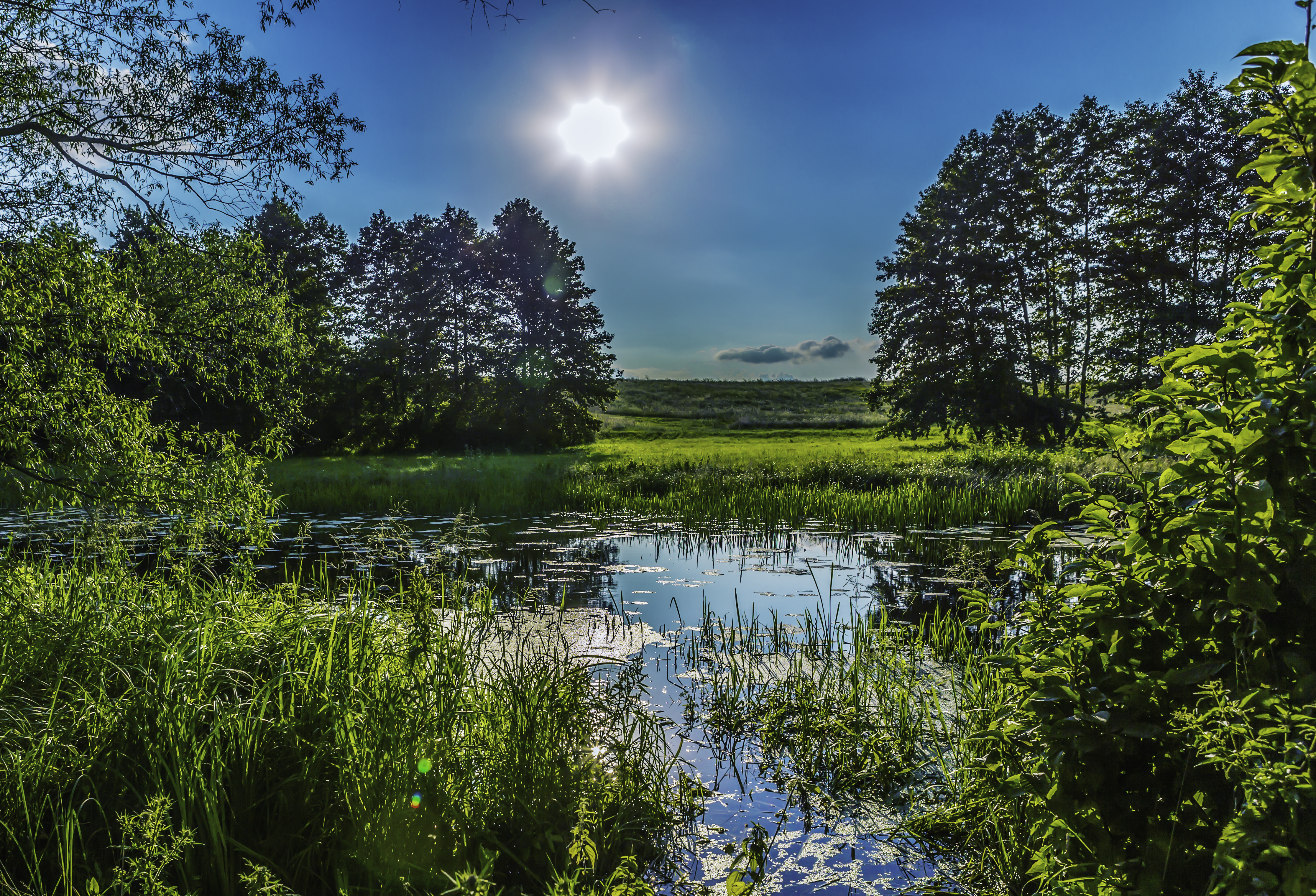 File:Nature landscape ukraine poltava (8093168012).jpg - Wikimedia Commons