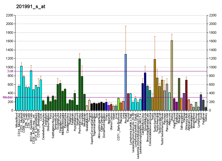 File:PBB GE KIF5B 201991 s at fs.png