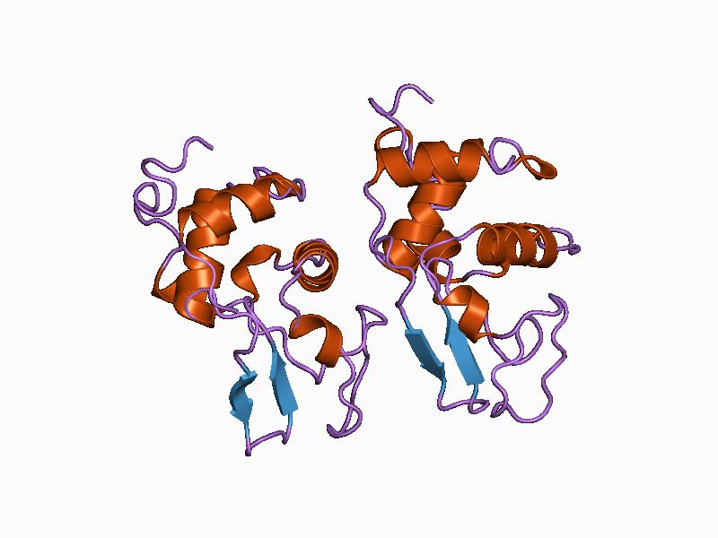 File:PDB 1bb4 EBI.jpg