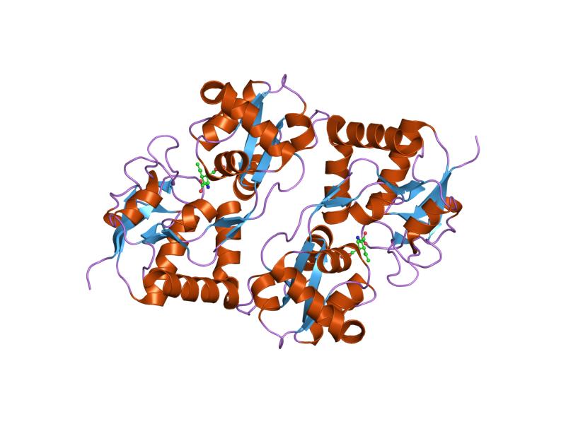 File:PDB 1tt1 EBI.jpg